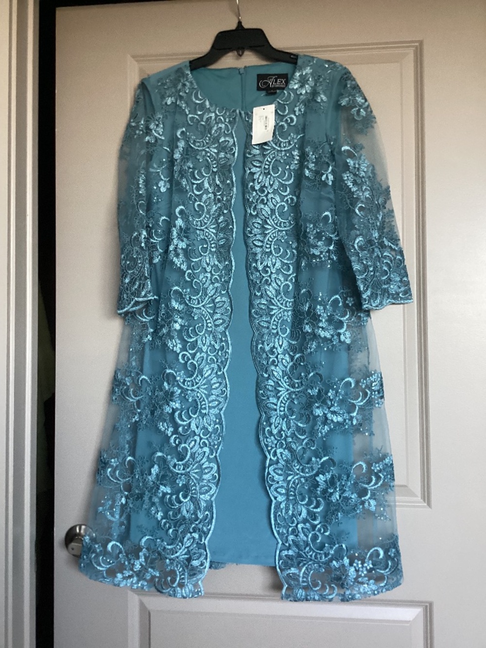Alex Evenings Embroidered Three-Quarter Sleeve Shift Dress, size 8